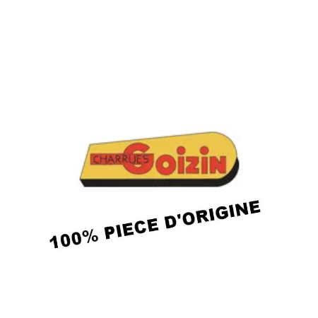 GOIZIN