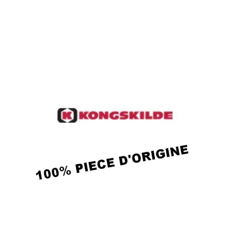 KONGSKILDE