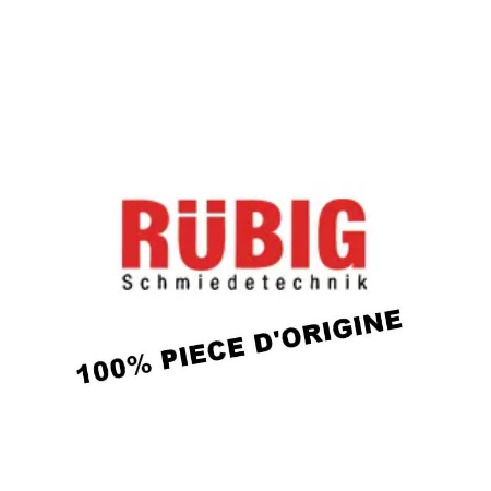 RÜBIG