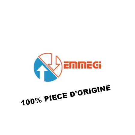 EMMEGI