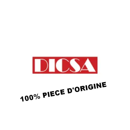 DICSA