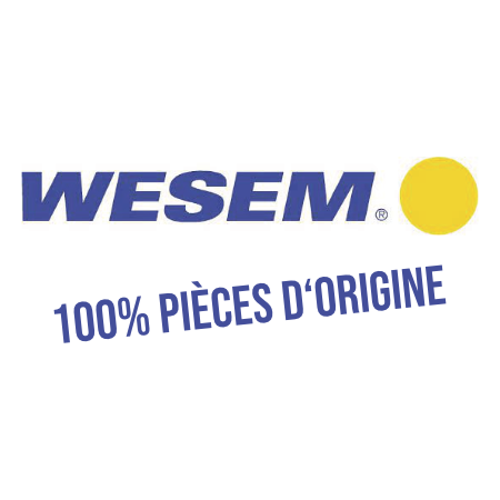 WESEM