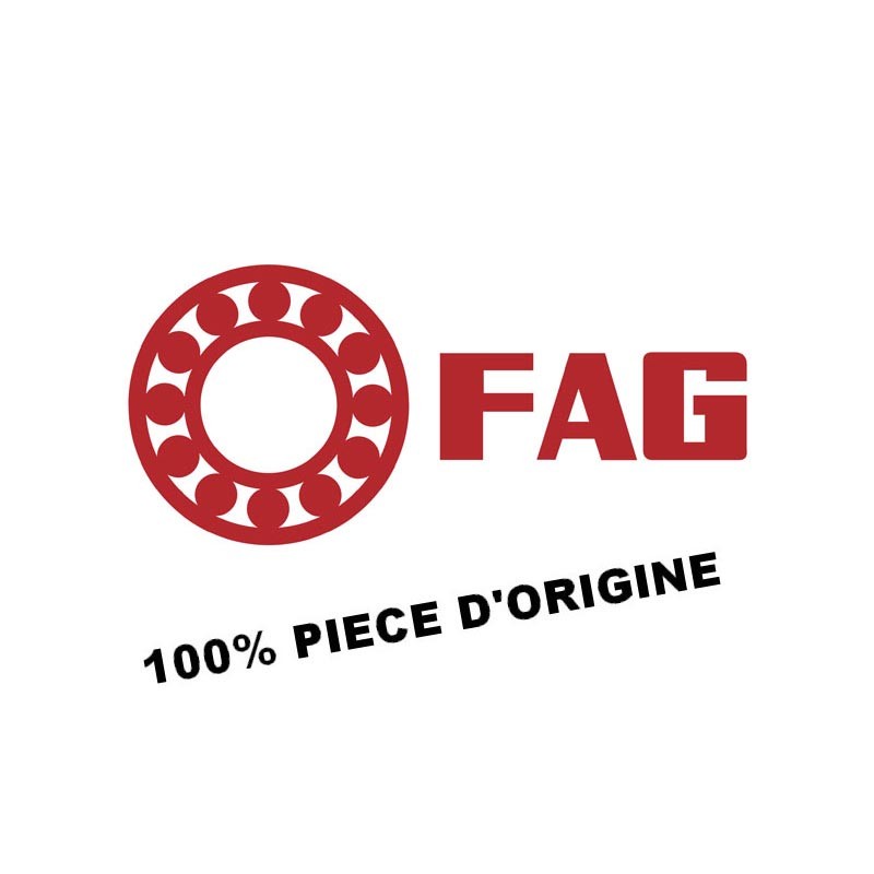 INA / FAG