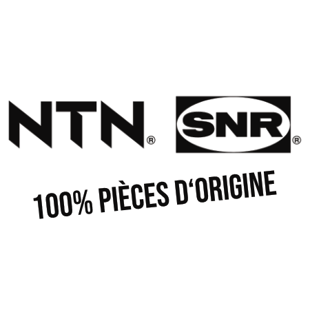 NTN/SNR