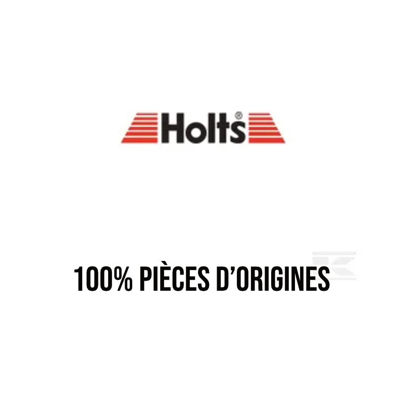 HOLTS